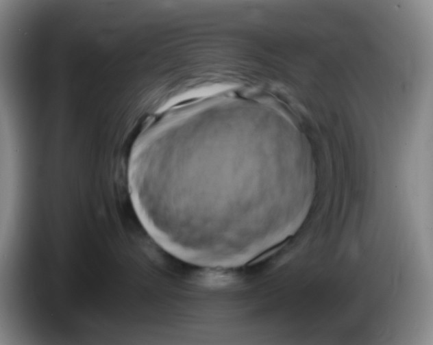 X0000083560528200703091619