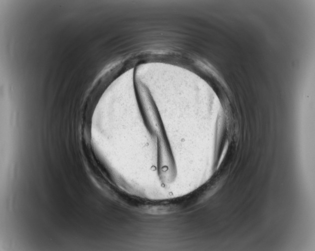 X0000083560530200703091618