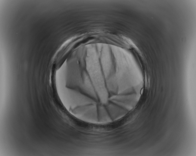 X0000083560531200703091618