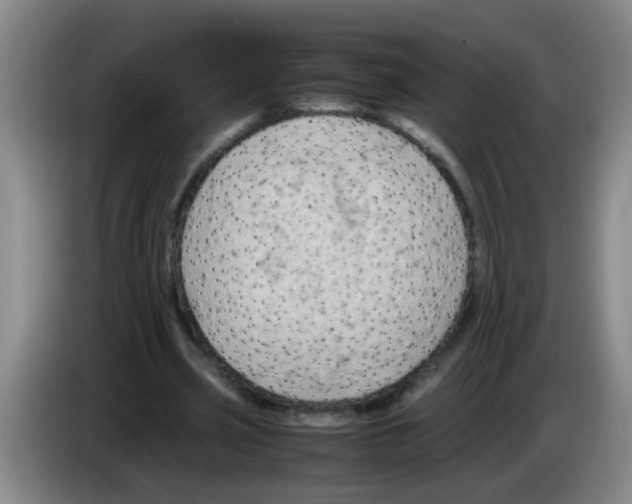 X0000083560533200703091618