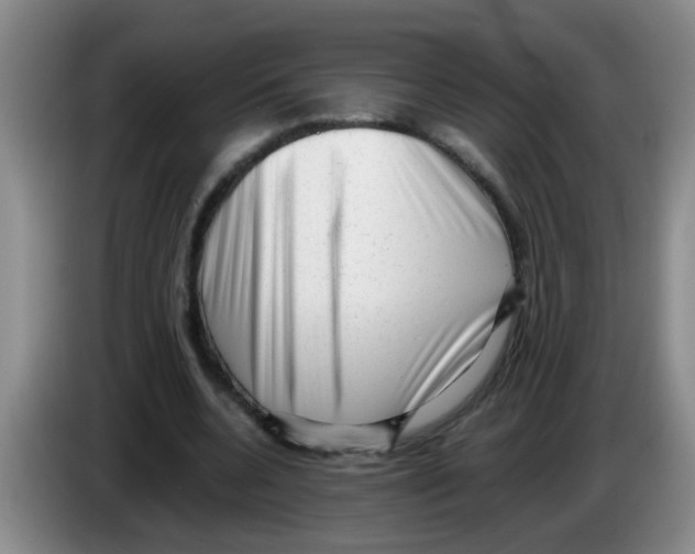 X0000083560536200703091618