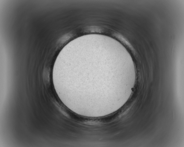 X0000083560537200703091618