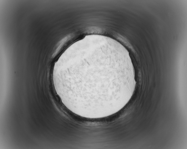 X0000083560538200703091618