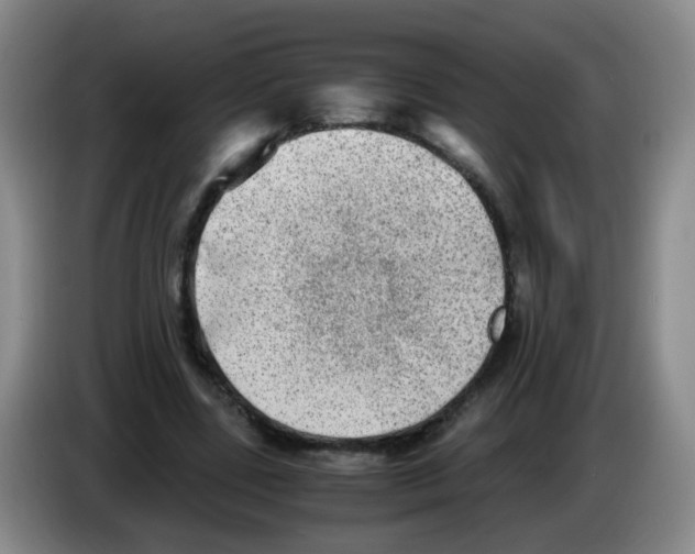 X0000083560539200703091618