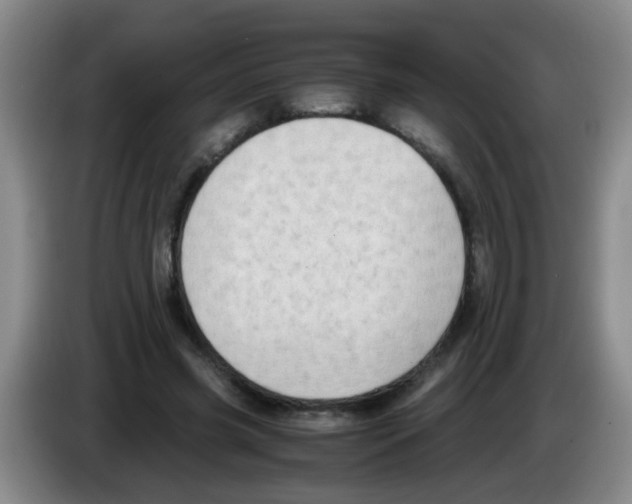 X0000083560541200703091618