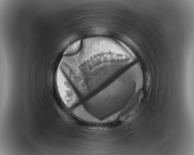 X0000083560542200703091618