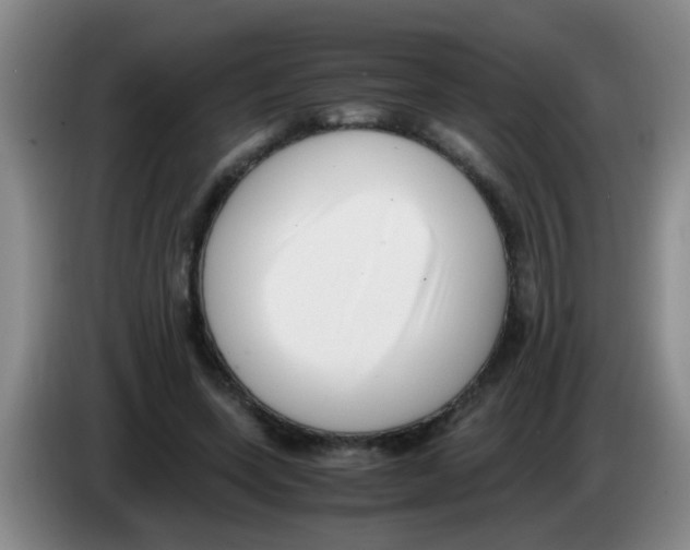 X0000083560543200703091618