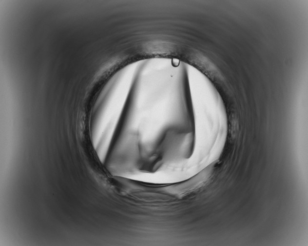 X0000083560544200703091618