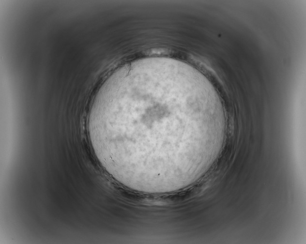 X0000083560545200703091618