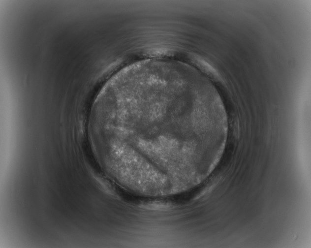 X0000083560546200703091618