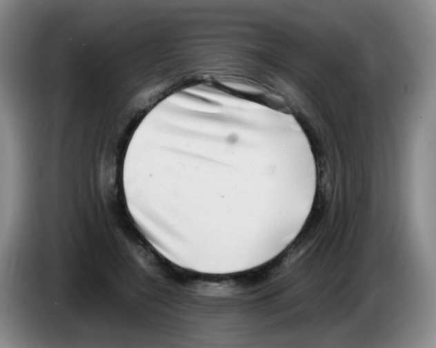 X0000083560548200703091618