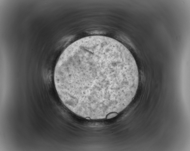 X0000083560549200703091618