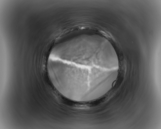 X0000083560553200703091618