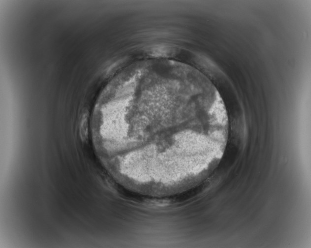 X0000083560554200703091618