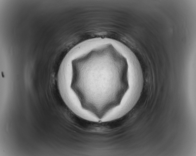 X0000083560555200703091618