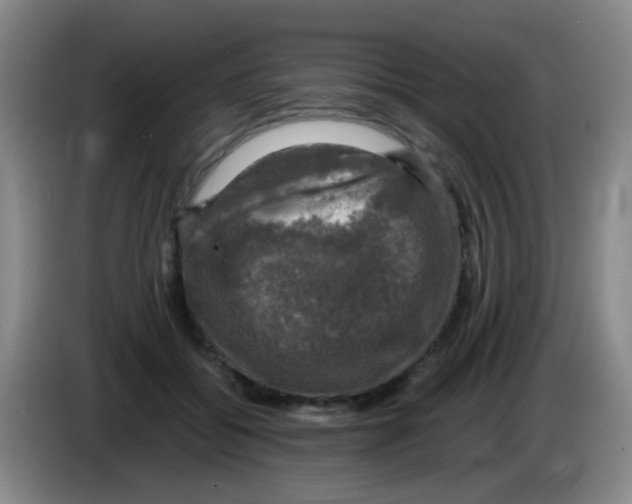 X0000083560556200703091618