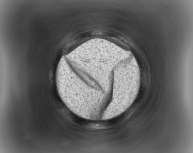 X0000083560557200703091618