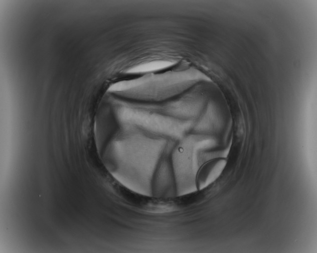 X0000083560559200703091618