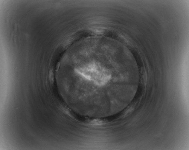 X0000083560562200703091618