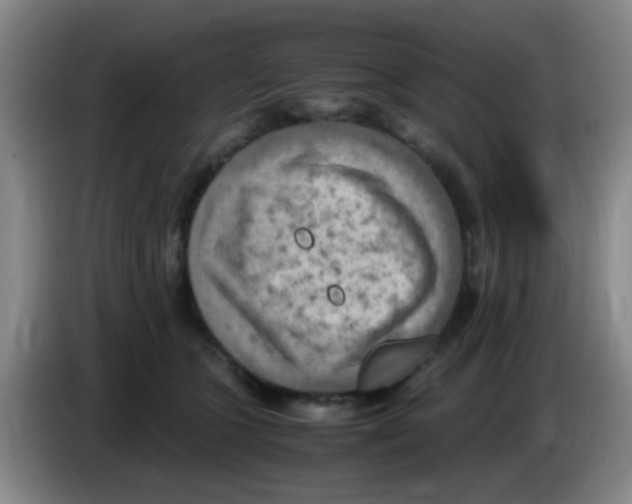 X0000083560563200703091618