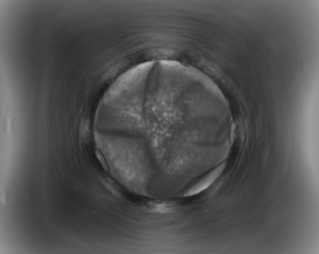 X0000083560564200703091618