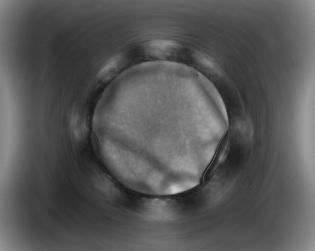 X0000083560566200703091619