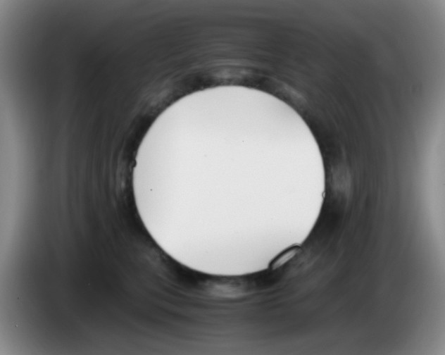 X0000083560567200703091619