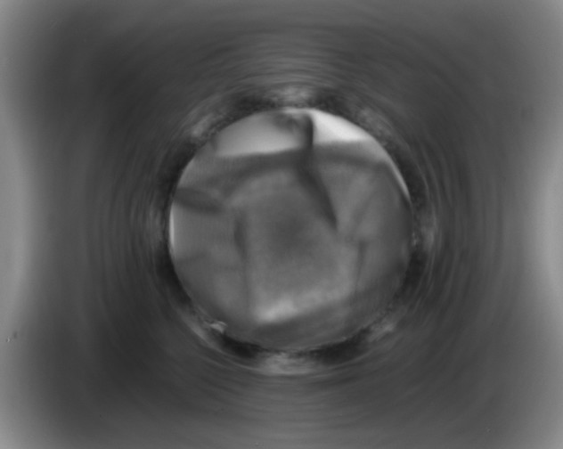 X0000083560568200703091619