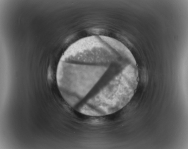 X0000083560569200703091619