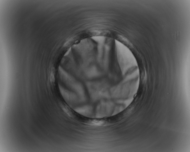 X0000083560570200703091619