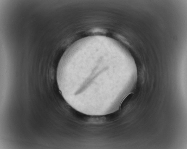 X0000083560571200703091619