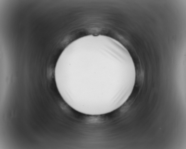 X0000083560574200703091619