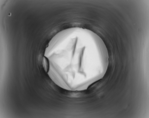 X0000083560575200703091619