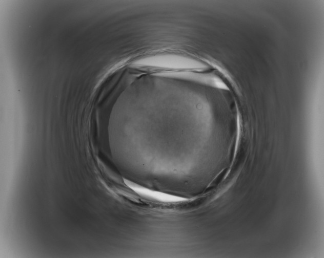 X0000083560577200703091618