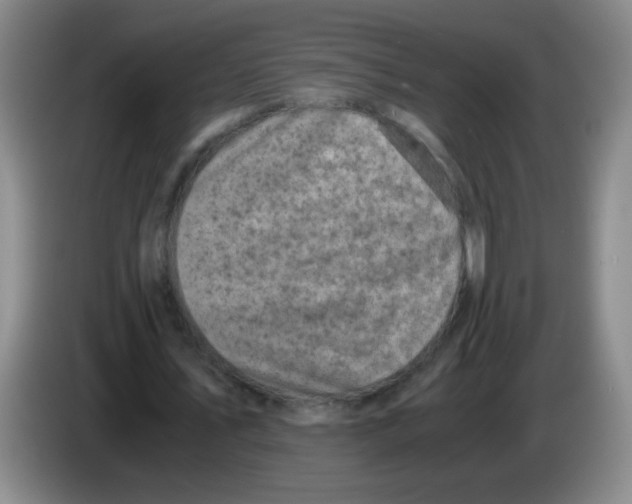 X0000083560579200703091618