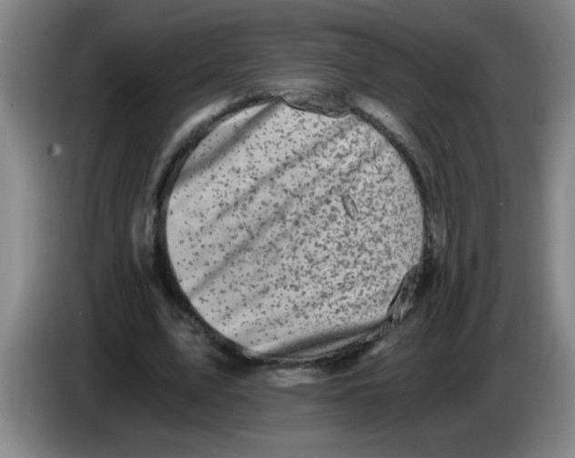 X0000083560583200703091618