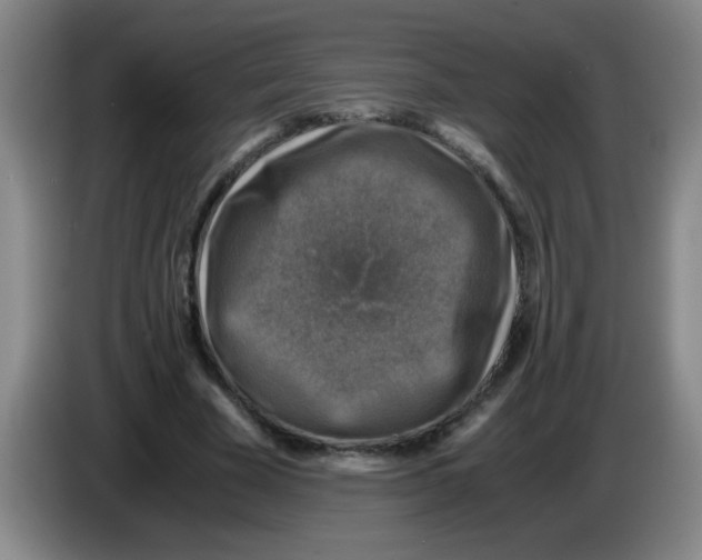 X0000083560585200703091618