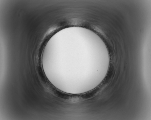 X0000083560587200703091618