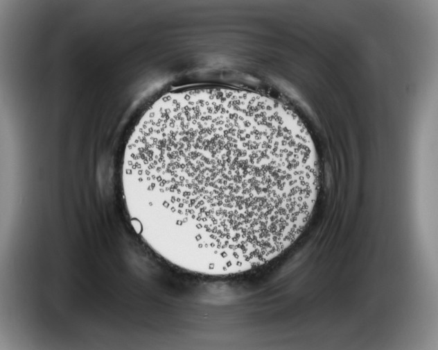 X0000083560588200703091618