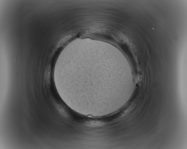 X0000083560590200703091618