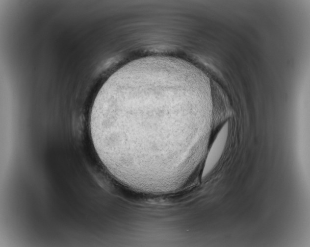 X0000083560591200703091618