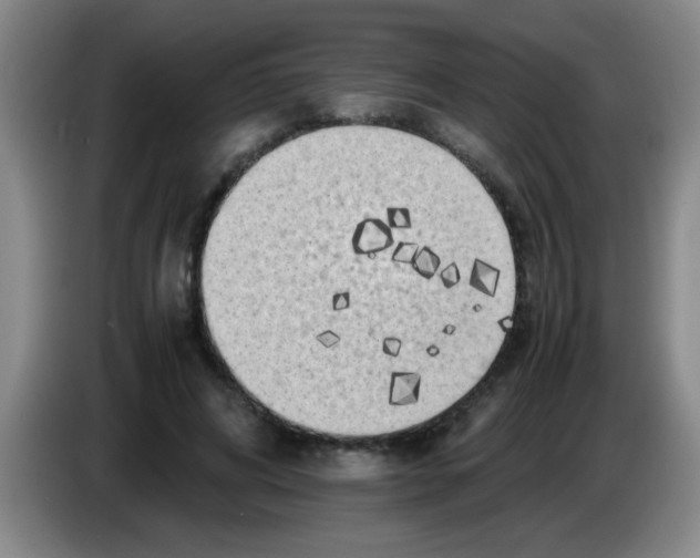 X0000083560592200703091618