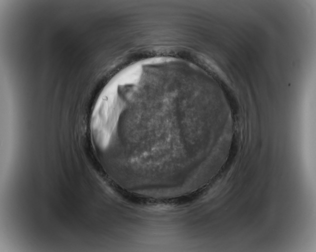 X0000083560593200703091618