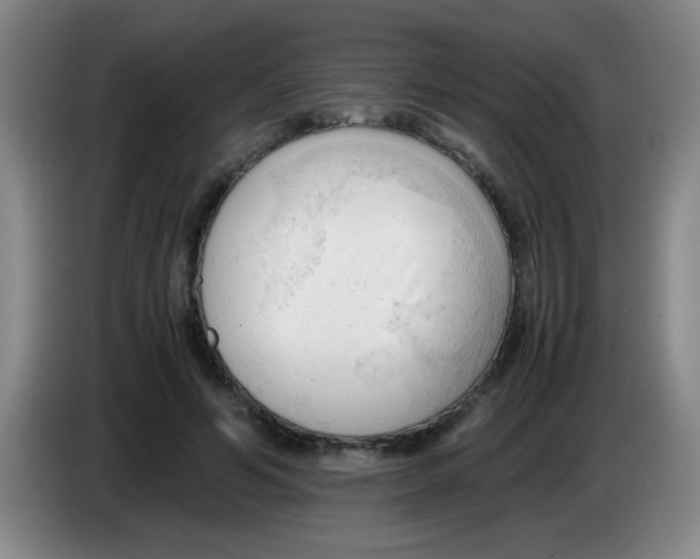 X0000083560594200703091618