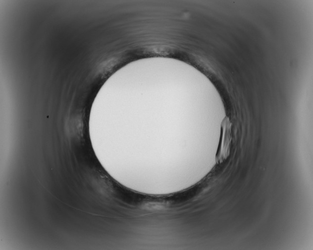 X0000083560595200703091618