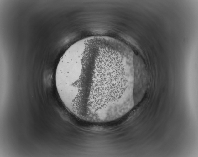 X0000083560596200703091618