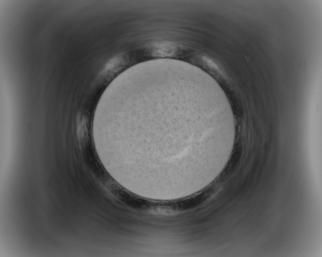 X0000083560598200703091618