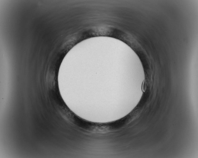 X0000083560599200703091618