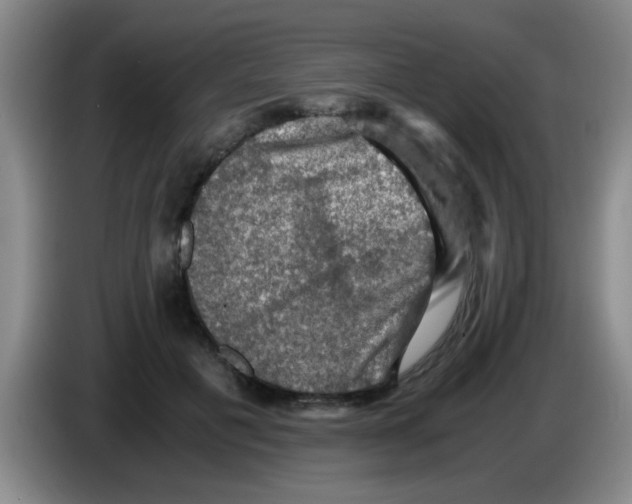 X0000083560601200703091618