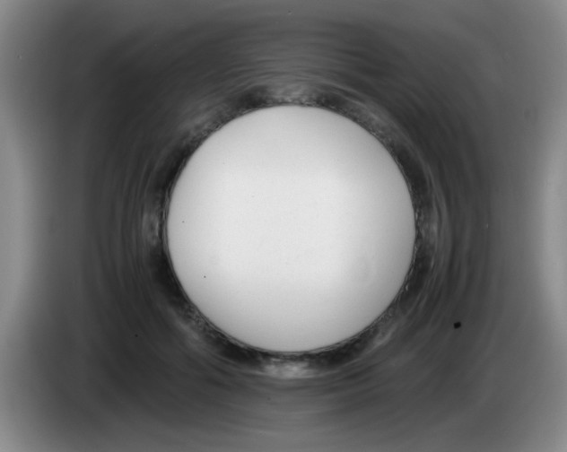 X0000083560602200703091618